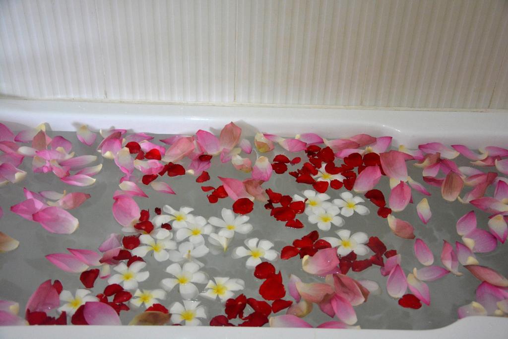 Mango Rain Boutique Otel Siem Reap Dış mekan fotoğraf